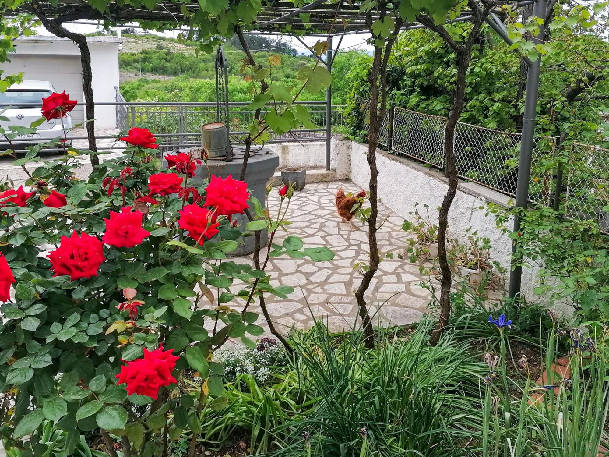 Apartman Lavanda Sa Bazenom I Okucnicom 4* Hreljin Exterior foto