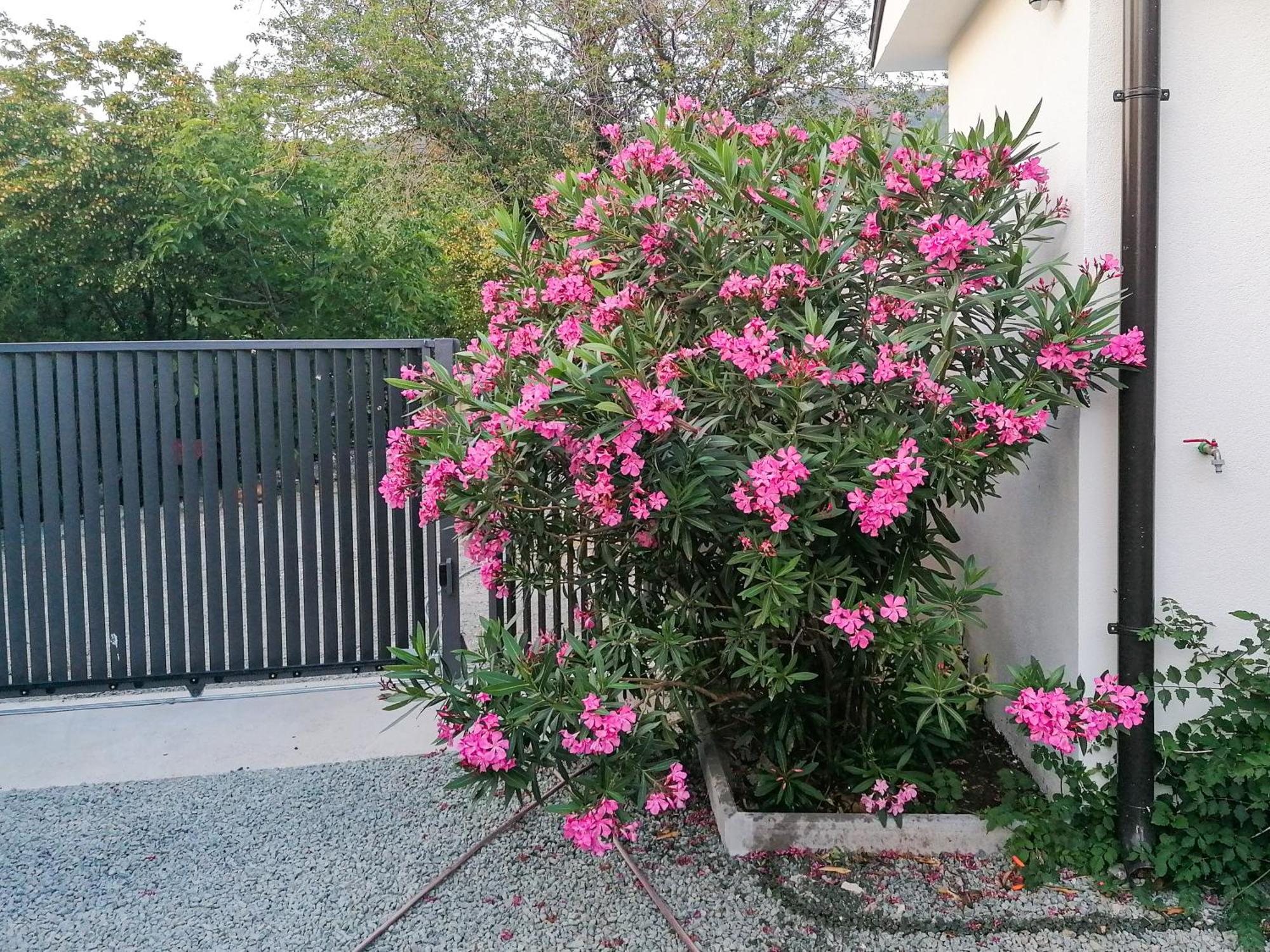 Apartman Lavanda Sa Bazenom I Okucnicom 4* Hreljin Exterior foto